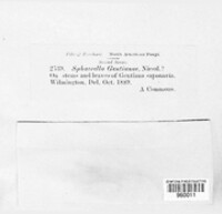 Image Associated With the Occurence
